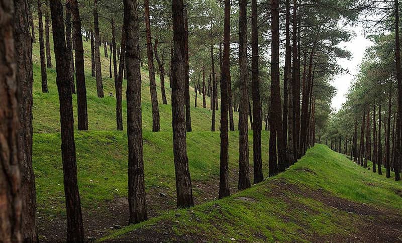 Lavizan Forest Park, Tehran Lavizan Forest Park, Tehran