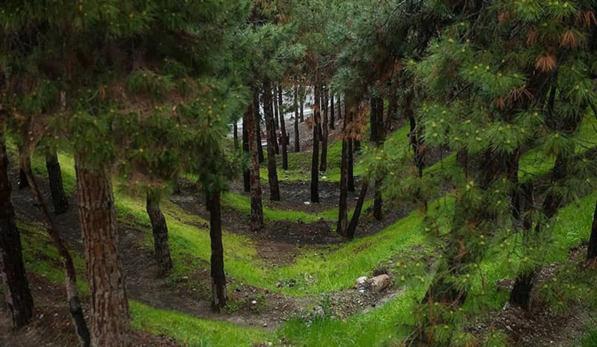 Lavizan Forest Park, Tehran Lavizan Forest Park, Tehran
