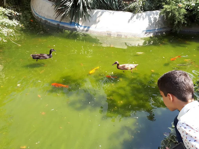 Chaharbagh Bird Garden, Karaj