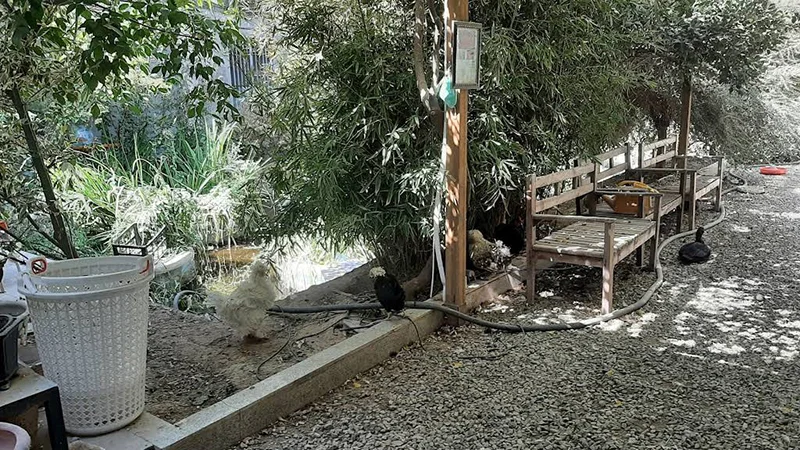 Chaharbagh Bird Garden, Karaj
