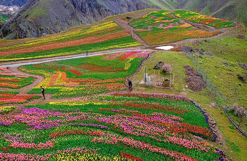 Kondor Village , Karaj