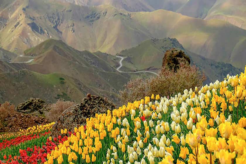 Kondor Village , Karaj