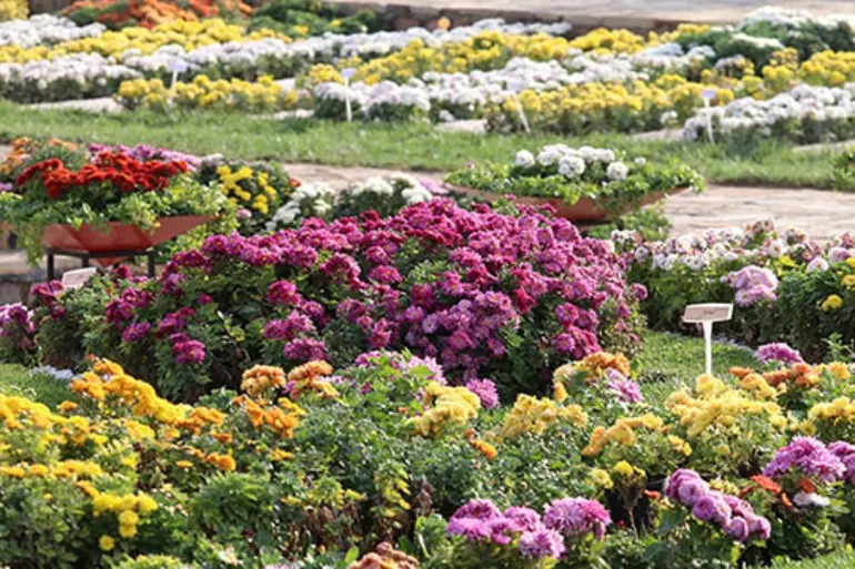 Mashhad Botanical Garden