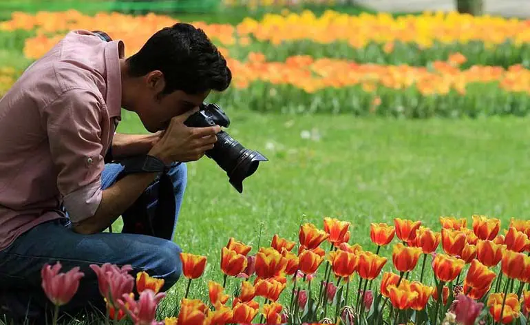 Mellat Park Mashhad Mellat Park Mashhad