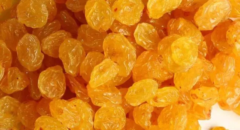 جاهای دیدنی بناب