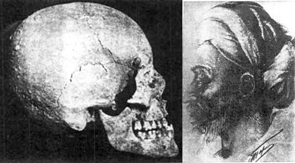 این سینا