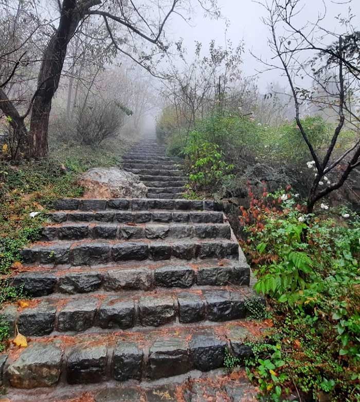 بوستان جمشیدیه تهران