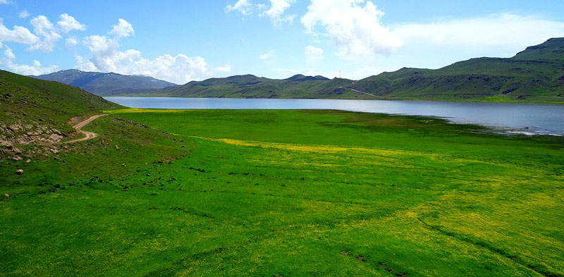 دریاچه نئور