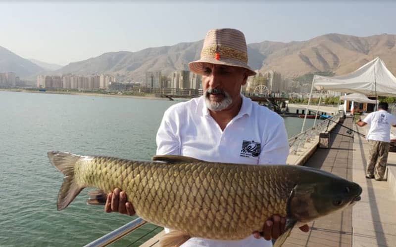 دریاچه چیتگر