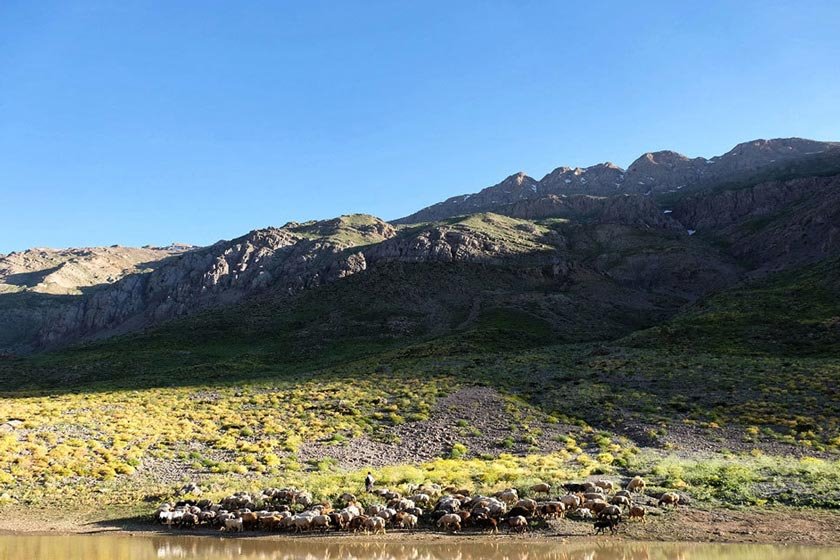 دریاچه کوه گل