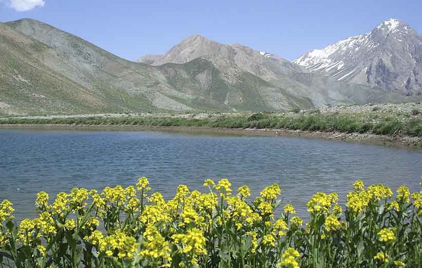  دشت لار، دشت شقایق های تهران