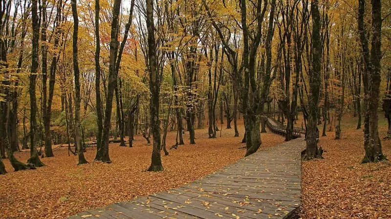 پارک جنگلی النگدره