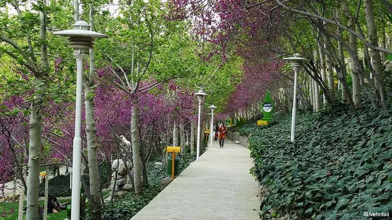 پارک ساعی تهران