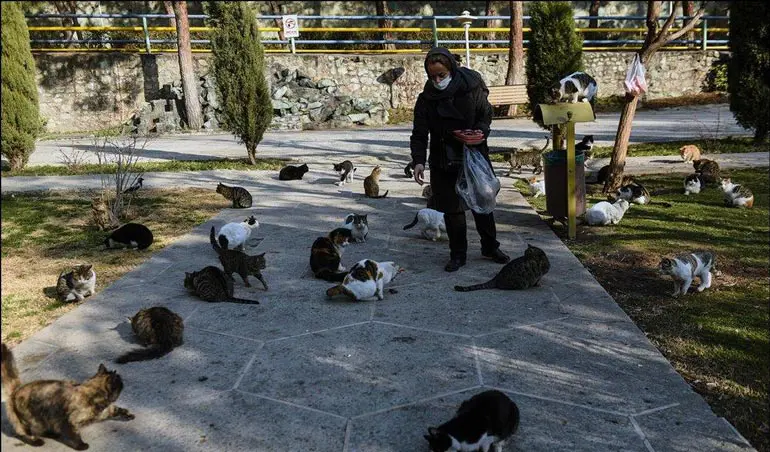 پارک ساعی تهران