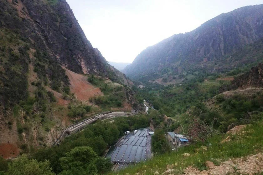 پروز
