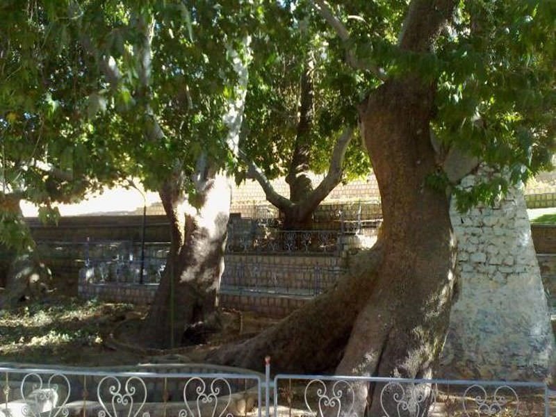 چشمه سیاسرد بروجن