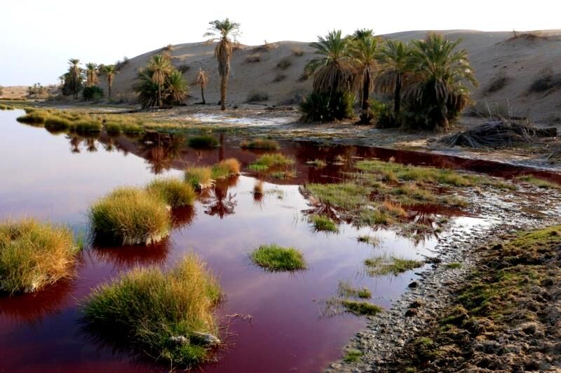 دریاچه جازموریان