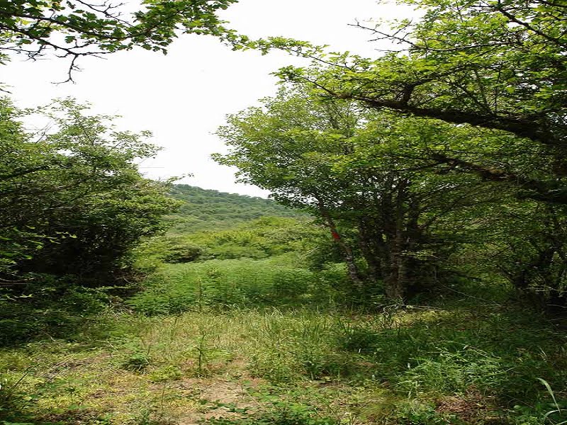 روستای دشت جاجرم روستای دشت روستای دشت جاجرم