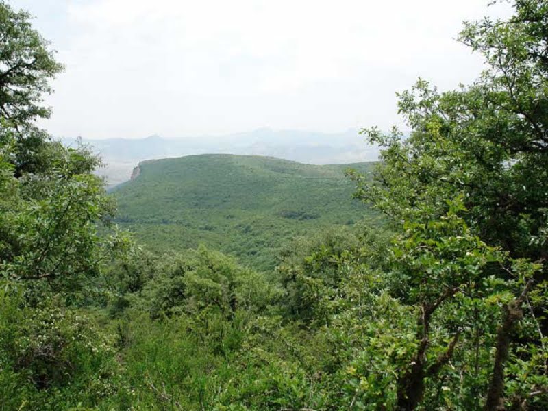روستای دشت جاجرم روستای دشت روستای دشت جاجرم
