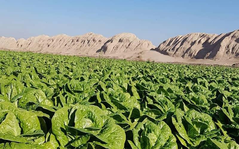 قلعه ایرج قلعه ایرج