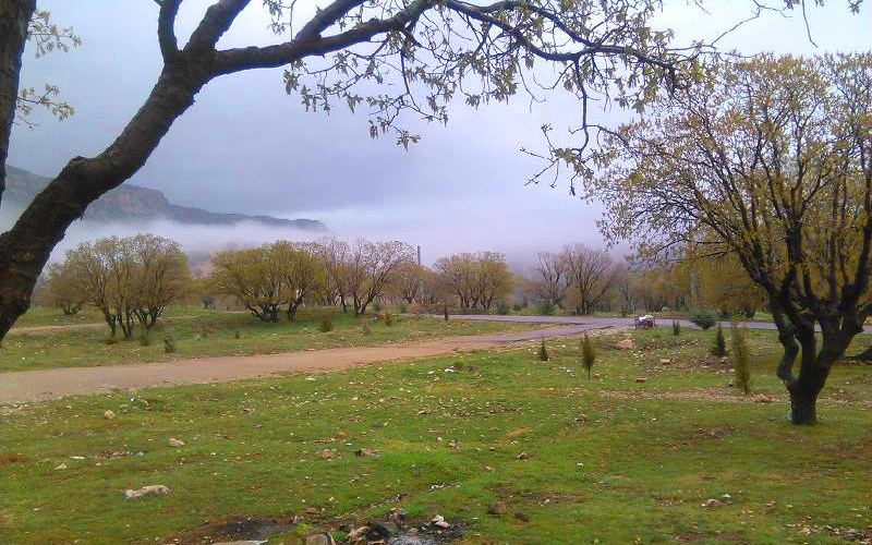 پارک جنگلی چغاسبز ایلام