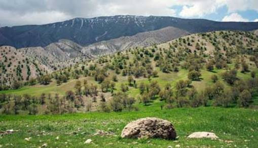 پارک جنگلی چغاسبز ایلام
