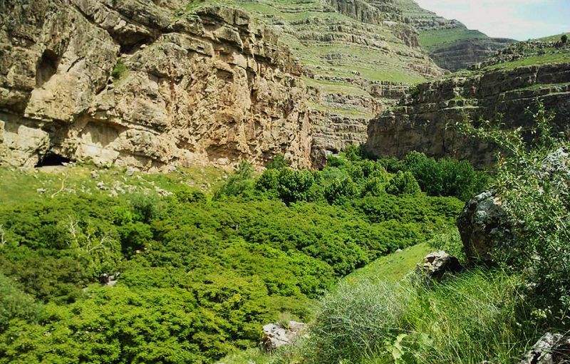 پارک ملی تندوره