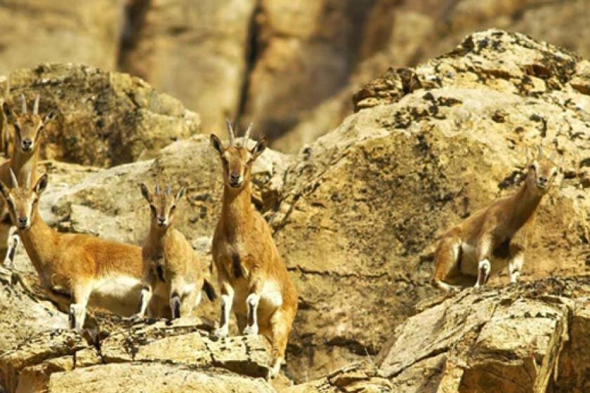 پارک ملی تندوره