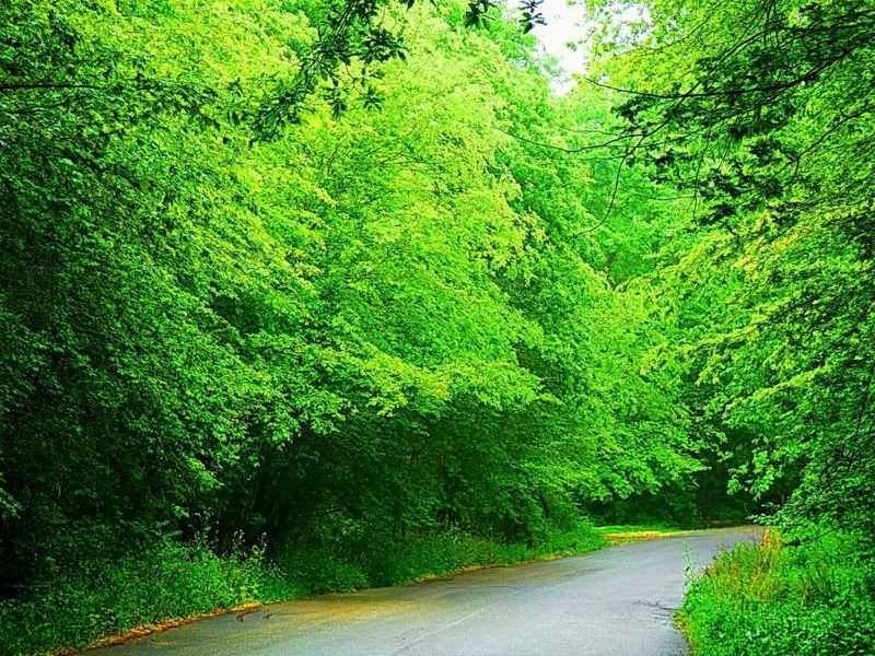 پناهگاه حیات وحش سمسکنده پناهگاه حیات وحش سمسکنده