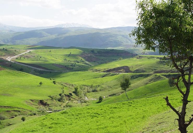 چشمه کانی گراوان