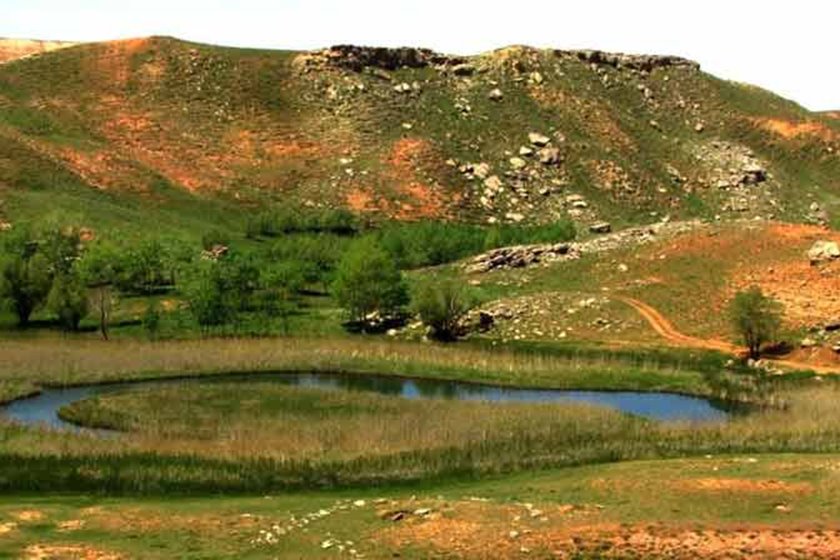 چمن متحرک (چملی گول )
