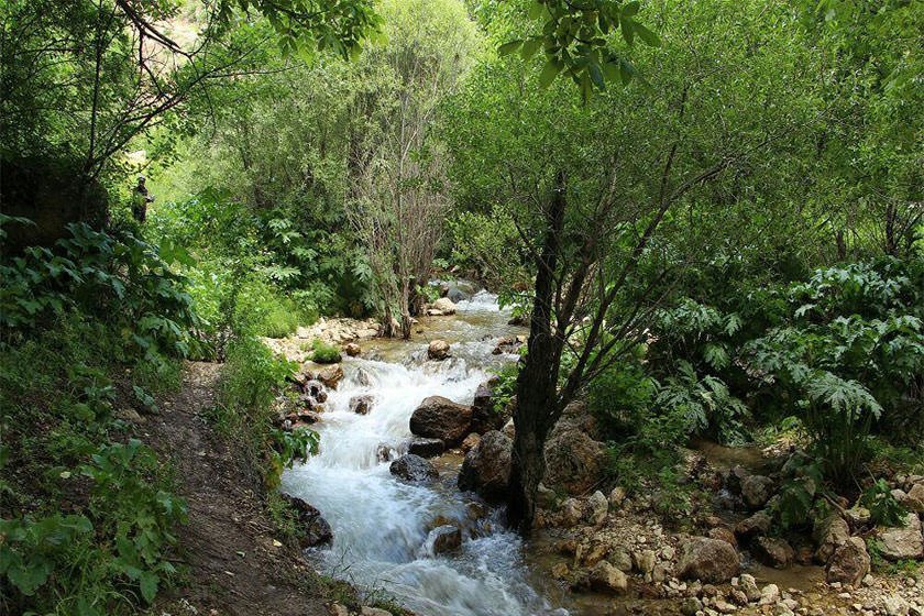 آبشار نره گر