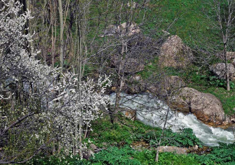 آبشار نره گر
