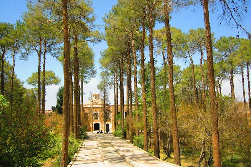 باغ هرندی کرمان 
