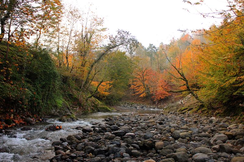 بی بی یانلو 
