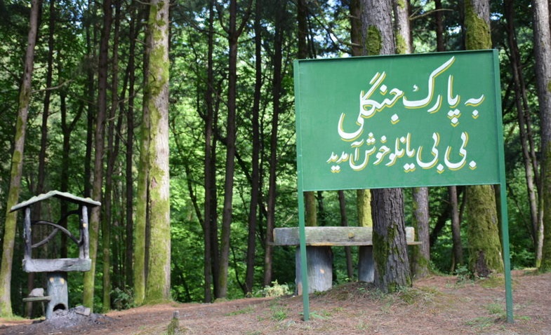 بی بی یانلو 
