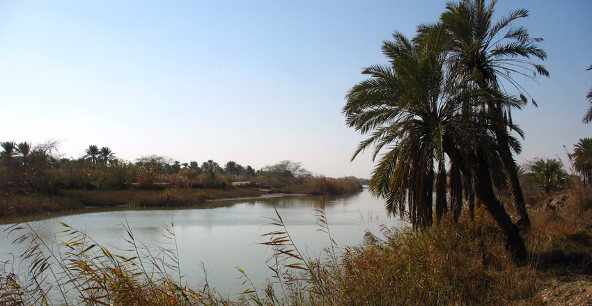 جزیره مینو 