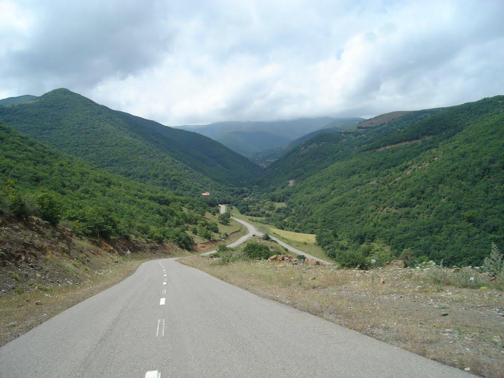 دره جنگلی مکیدی