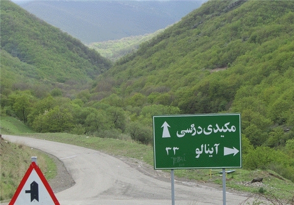 دره جنگلی مکیدی
