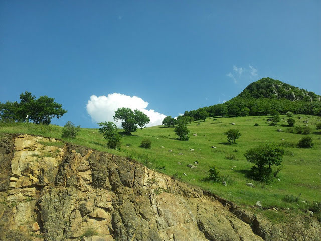دره جنگلی مکیدی