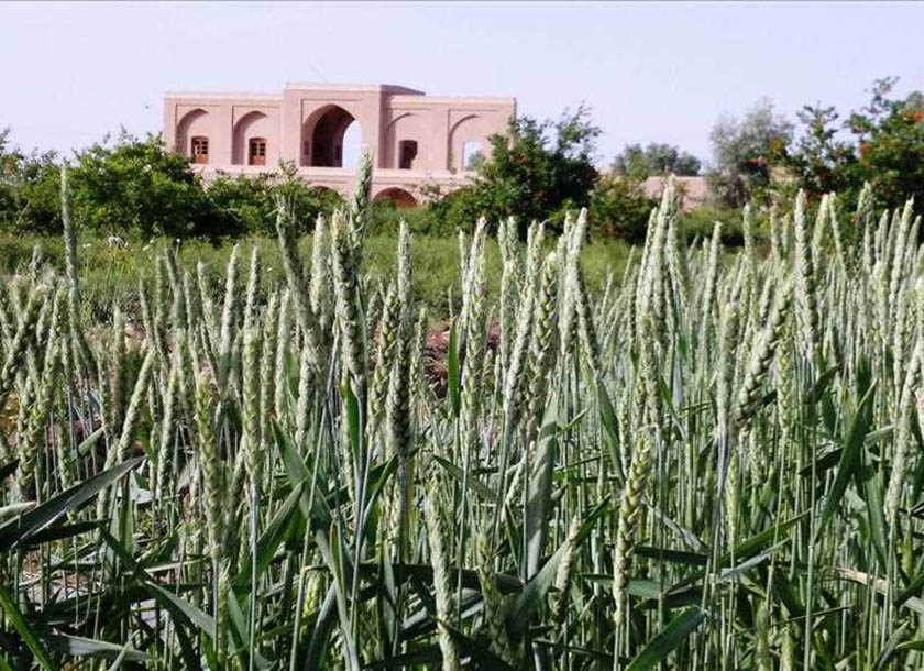 مجموعه حجت آباد وزیر مجموعه حجت آباد وزیر