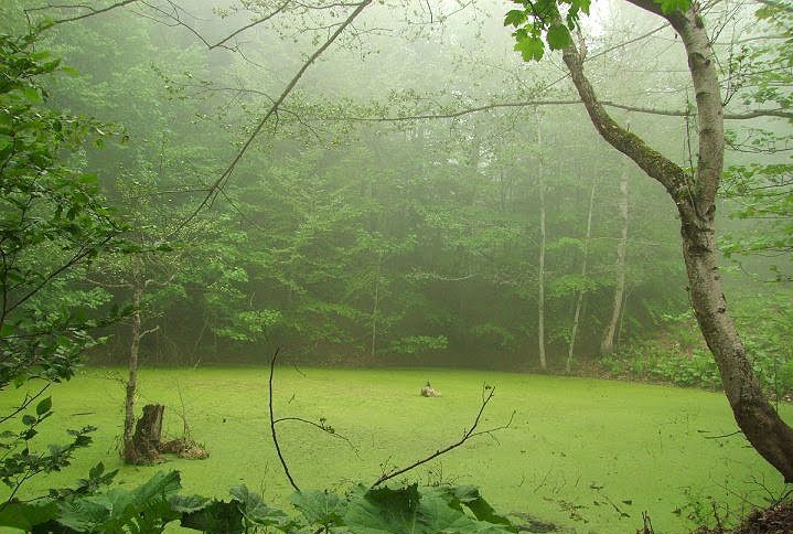 آبشار سمبی