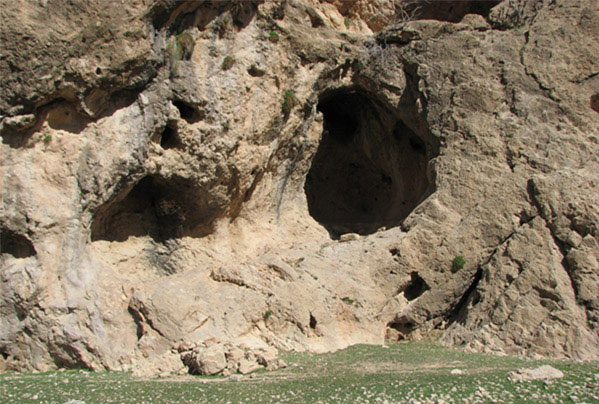 پناهگاه صخره ای یتیم