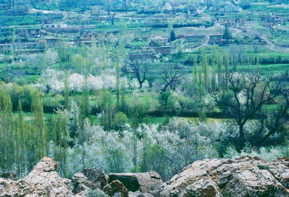 دره نینه رود قزوین دره نینه رود دره نینه رود قزوین