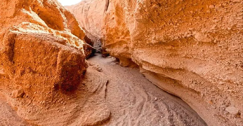 کال جنی کال جنی