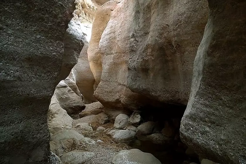 کال جنی کال جنی