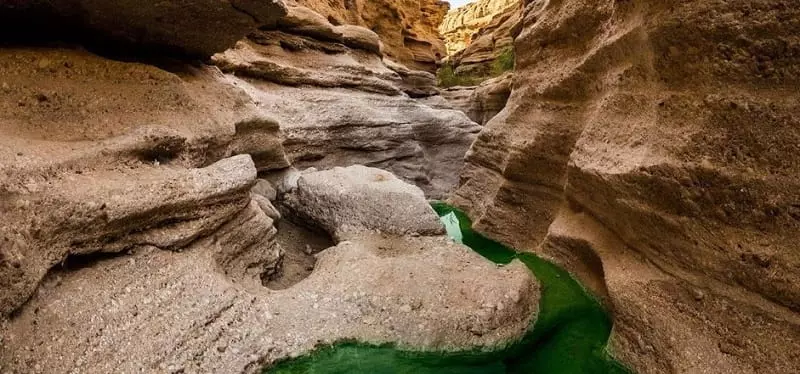 کال جنی کال جنی