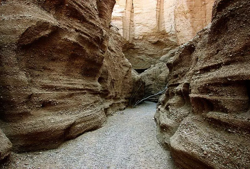 کال جنی کال جنی