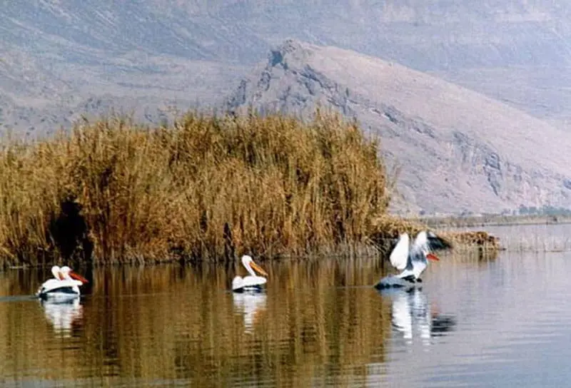 دریاچه پریشان 