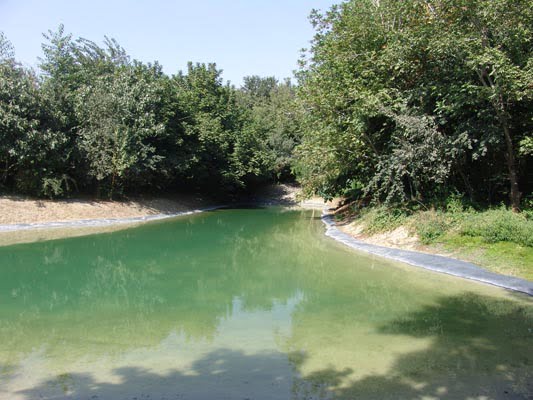 باغ گیاه شناسی ملی ایران باغ گیاه شناسی ملی ایران